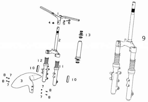 Forcella (Mqi Gt 4831)